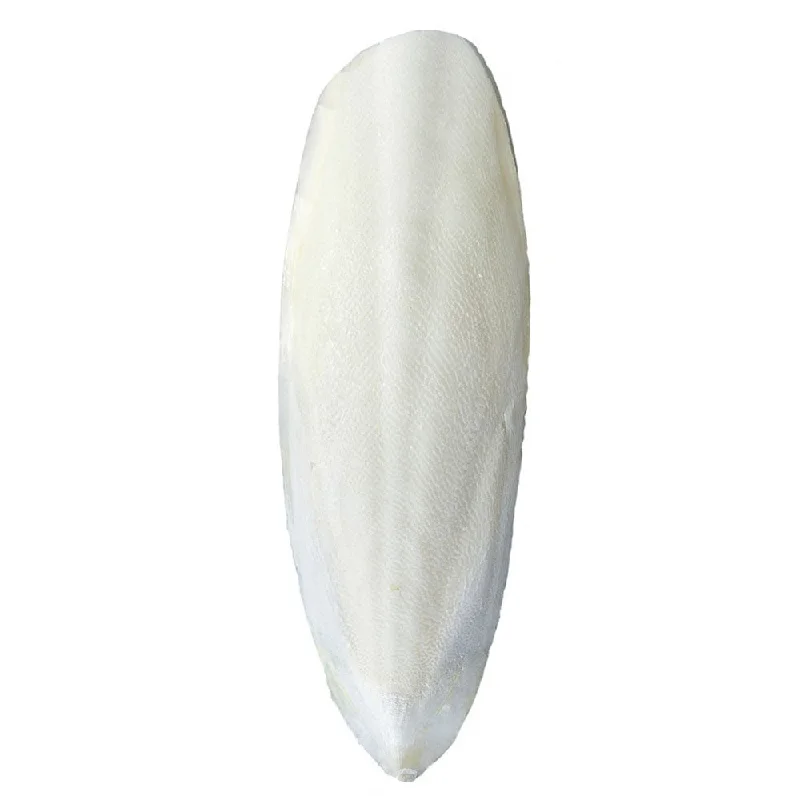 Emas 10 Cuttlefish Bone (3317)