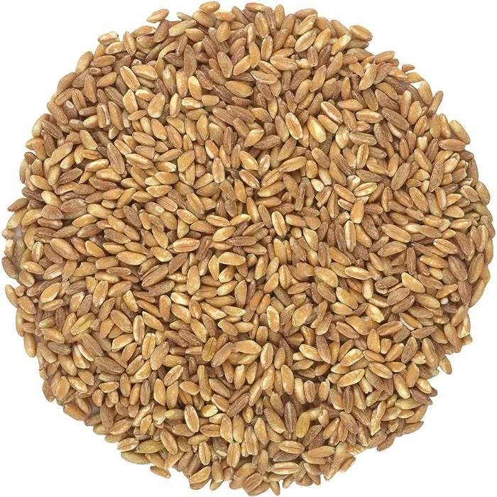 JENNIFERS GRAINS - FARRO 3 LB - Pack of 6